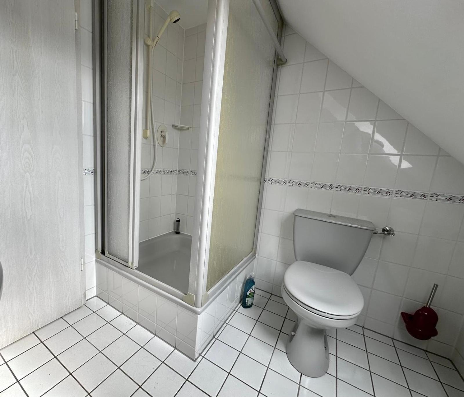 Ferienwohnung Sonnenschein Mit Kleinem Bauernhof ターレ エクステリア 写真